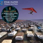 A Momentary Lapse Of Reason - The Pink Floyd LP – Zboží Mobilmania