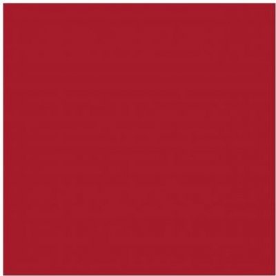 Dunilin Ubrousek červený 100030074 40x40cm 45ks – Zboží Dáma