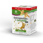 GALMED Ostropestřec + curcumin forte 60 kapslí – Hledejceny.cz