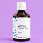 Zinzino BalanceOil AquaX Omega 3 pro děti 300 ml – Hledejceny.cz