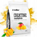 IRONFLEX Creatine Monohydráte 1000 g – Zbozi.Blesk.cz