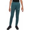 Dětské tepláky Nike THFC Y NK DF STRK PANT KPZ3R fq2652 359