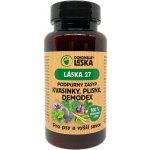 Dokonalá láska 27 podpůrný zásyp kvasinky plísně demodex 90 g – Zboží Mobilmania