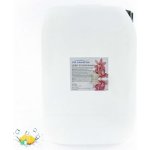PM Aqualog esence do parních kabin ledový ananas 919-010/D 10 l – Hledejceny.cz