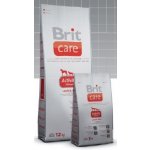 Brit Care Adult Activity All Breed Lamb & Rice 1 kg – Sleviste.cz