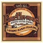 ERNIE BALL 2061 – Zboží Mobilmania