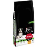 Purina Pro Plan Medium Puppy Healthy Start kuře 12 kg – Hledejceny.cz