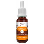 AromaFauna Ušní olej Candiear při výskytu kvasinek 10 ml – Zboží Mobilmania