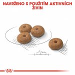 Royal Canin Mini Sterilised 3 kg – Zboží Mobilmania