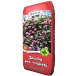 Rašelina Soběslav Zemina pro muškáty 20 l – Zboží Dáma