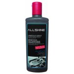 Alveus ALLSHINE čistící prostředek na dřezy 250 ml