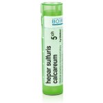 HEPAR SULFURIS CALCAREUM POR 5CH GRA 4G – Hledejceny.cz