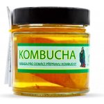 Kombucha násada Stevikom 150 g – Hledejceny.cz