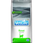 Vet Life Cat Renal 0,4 kg – Hledejceny.cz