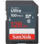 SanDisk SDXC 128 GB SDSDUNR-128G-GN3IN – Hledejceny.cz