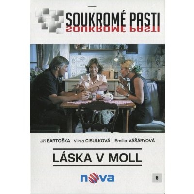 Soukromé pasti - Láska v moll DVD – Zbozi.Blesk.cz