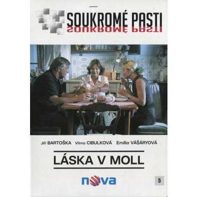 Soukromé pasti - Láska v moll DVD – Zboží Mobilmania