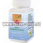 TCM Herbs Nápoj stříbrného větru 100 g – Hledejceny.cz