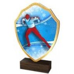 Poháry Bauer Dřevěná plaketa TFRW289 Běžky – Sleviste.cz