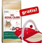 Royal Canin Persian Kitten 2 x 4 kg – Hledejceny.cz