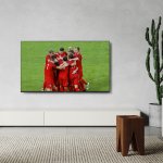 Panasonic TX-50LX800E – Zboží Živě