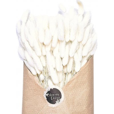 Sušený lagurus (králičí ocásek) bělený 45g – Hledejceny.cz