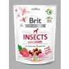 Pamlsek pro psa Brit Care Dog Crunchy Cracker Insects with Lamb enriched with Raspberries 200 g