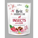 Brit Care Dog Crunchy Cracker Insects with Lamb enriched with Raspberries 200 g – Zboží Dáma