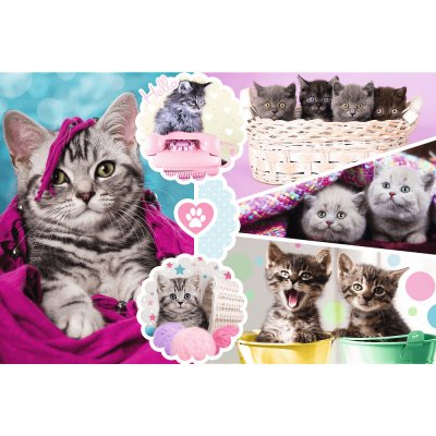 Trefl Okouzlující koťátka 15371 160 dílků – Zboží Mobilmania
