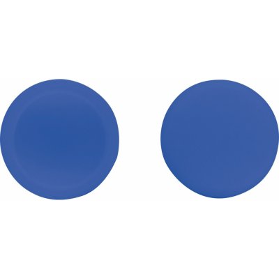 Krytka šroubu pro SPZ plastová modrá pr. 12 mm, 2 ks – Hledejceny.cz