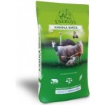 Energys Morče Premium C granule 10 kg – Zbozi.Blesk.cz