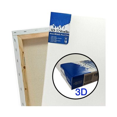 Artikon Studio 3D plátno 100x120cm – Sleviste.cz