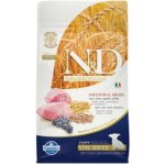 N&D Ancestral Grain Puppy Mini Lamb & Blueberry 0,8 kg – Zboží Mobilmania