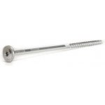 Vrut Rapi-Tec SK, 8x260mm, T40, bílý zinek, 1 ks – Hledejceny.cz