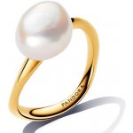 Pandora 163293C01 – Zboží Mobilmania