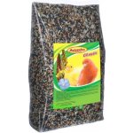 Avicentra Classic Kanár 1 kg – Zboží Dáma