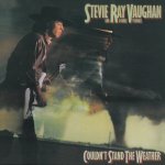 Vaughan Stevie Ray - Couldn't Stand The Weather LP – Hledejceny.cz