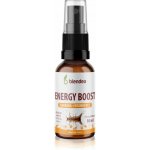 Blendea Energy Boost sprej 10 ml – Hledejceny.cz