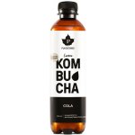 Puhdistamo Kombucha BIO 370 ml raspberry Bio Kombucha malina – Hledejceny.cz