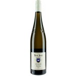 Toni Jost Riesling Im Hahn Bacharach GG Mittelrhein 2022 suché 13 % 0,75 l (holá láhev) – Hledejceny.cz