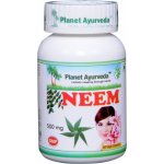 Planet Ayurveda Neem extrakt 10:1 500 mg 60 kapslí – Hledejceny.cz