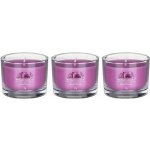 Yankee Candle Wild Orchid 3 x 37 g – Hledejceny.cz