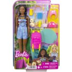 Barbie DHA KEMPUJÍCÍ BROOKLYN – Hledejceny.cz