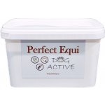 Perfect Equi Dog Active 500 g – Hledejceny.cz