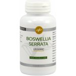 Epigemic Boswellia Serrata Epigemic 90 kapslí – Hledejceny.cz