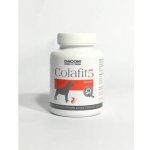 Colafit 5 pro barevné psy 100 tbl – Sleviste.cz