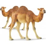 Schleich 14832 Wild Life Dromedary – Hledejceny.cz