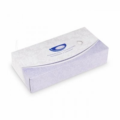 HygSoft papírové kapesníčky 2-vrstvé 100 ks – Zboží Dáma