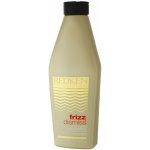 Redken Frizz Dismiss Sulfatte-free Shampoo 300 ml – Zbozi.Blesk.cz