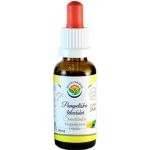 Salvia Paradise Pampeliška lékařská AF tinktura 30 ml – Hledejceny.cz
